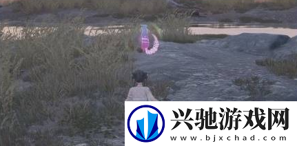 无限暖暖奇想星种类及获取方法大全