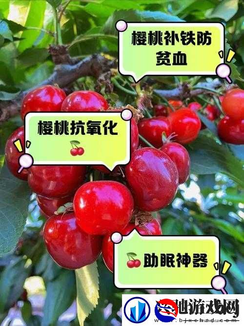 樱桃网现在叫什么-最新名称揭秘与用户使用指南-了解樱桃网最新动态与功能更新