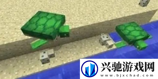 我的世界海龟蛋怎么孵化