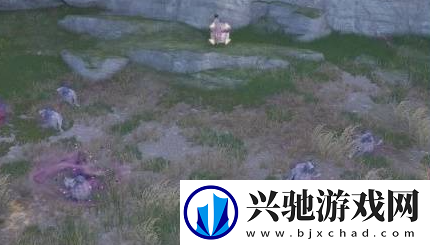无限暖暖奇想星种类及获取方法大全